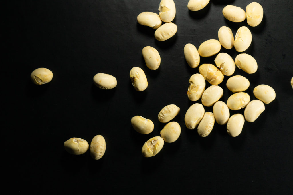 ソイプロテインの主成分である大豆