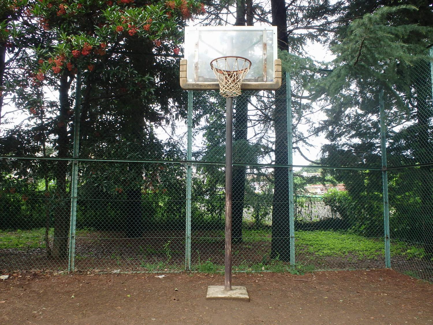 八王子市のバスケのゴールがある公園3選 バスケ初心者用メディア ブザビ