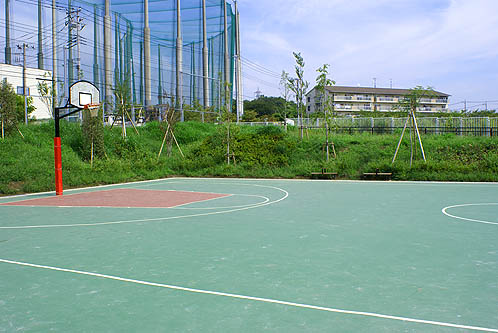 大谷口公園バスケットゴール